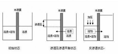 ro膜是什么？為什么說它是凈水器的靈魂？